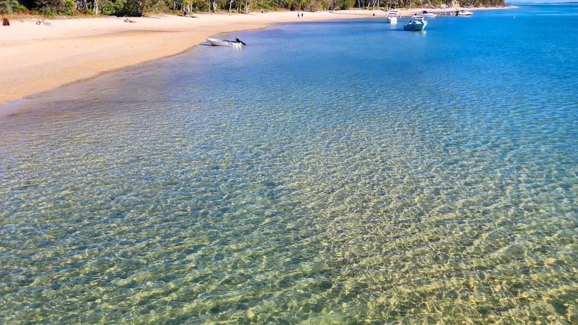 Sandy Escape Holiday House Kingfisher Bay Resort Holiday home